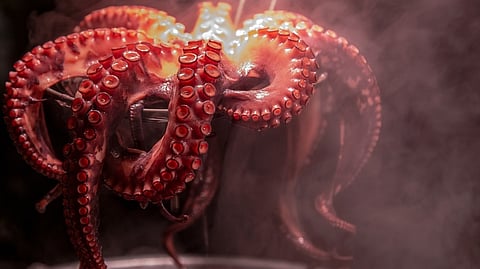 Representative image