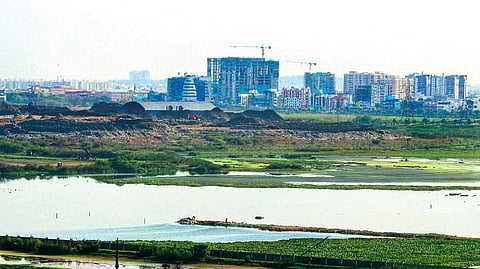 From 5000 hectares in 1975, Pallikaranai Marsh has shrunk to 695 hectares in 2016.