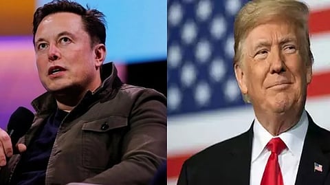 Tesla CEO Elon Musk and former US president Trump