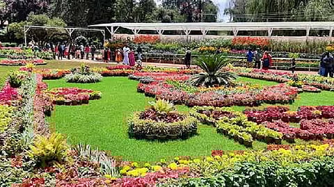 A view of Ooty flower show