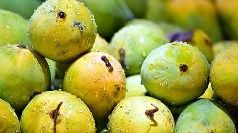 Representative image