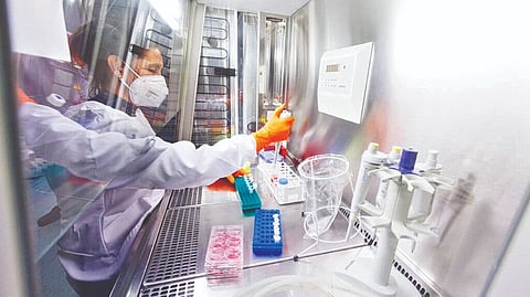 Representative image