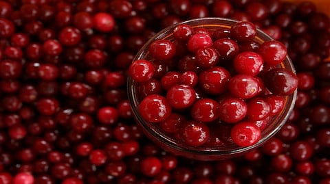 Cranberries could improve memory and beat back dementia: Study