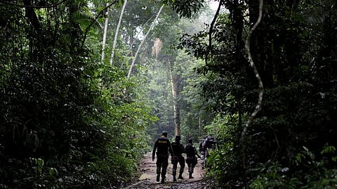 Representative image