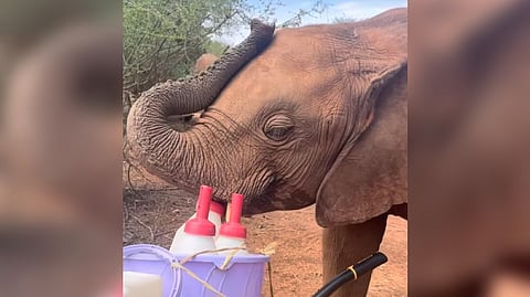 Screengrab from the video