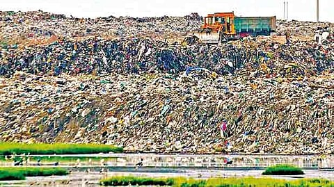 Representative image