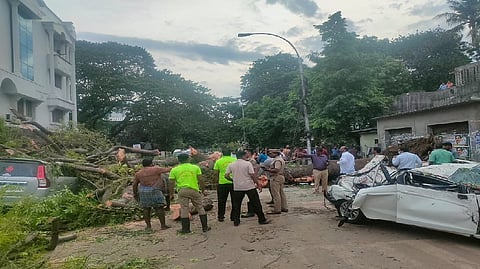 A tree uprooted and fell on the car in in KK Nagar