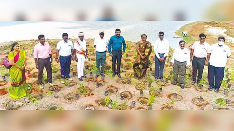 Saplings planting commences on Samudram Lake as part of raising miyawaki forest in Thanjavur on Wednesday