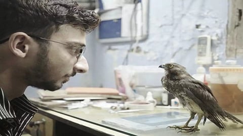 Indian documentary called All that Breathes