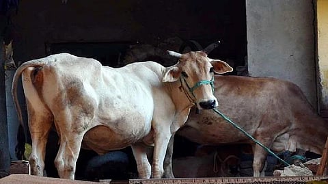 Representative Image