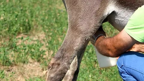 Representative image