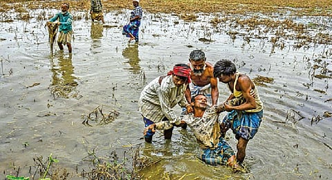 Representative Image