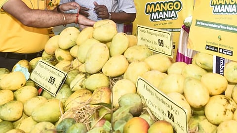 Mango Mela