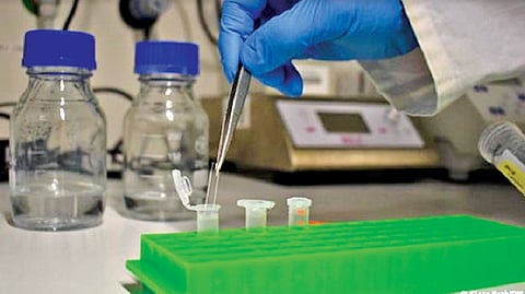 Plastic packaging might be biodegradable