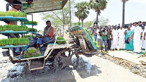 CM Stalin inspecting machine transplantation in progress at a farm in Mayiladuthurai.