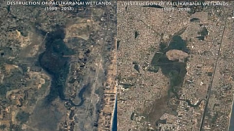 Pallikaranai Marsh Land in 1989 and 2018
