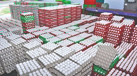 Egg on the boil as retail price zooms to Rs 6 apiece
