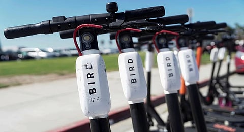 Bird electric scooters