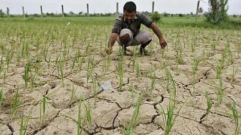 e-boost for 63K Primary Agriculture Credit Societies at Rs 2,516 crore