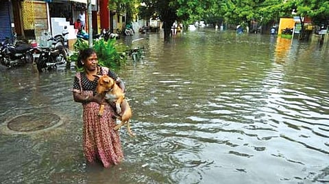 File photo of a flooded road in T Nagar (2021)