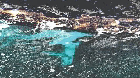 They couldn’t believe their eyes: The ocean was glowing