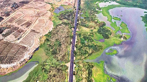 An aerial view of the Pallikaranai marshland
