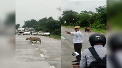 Screengrab from the video