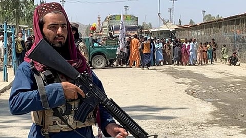 Afghanistan: Taliban arrest politician