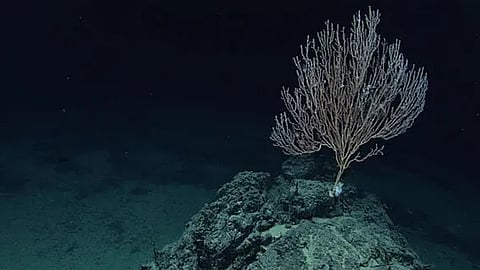 Those holes were about a mile deep and about 300 miles away from the site of the expedition?s initial discovery.