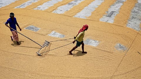 Representative Image