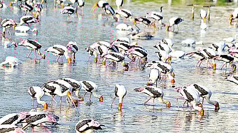 Representative image