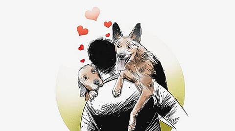 Representative image