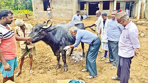 Representative image