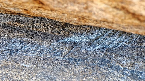 Game boards under Butterball at Mahabalipuram.
