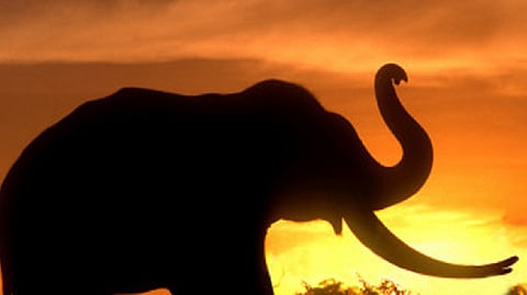 Representative image