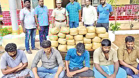 Police with the seized ganja and arrested culprits in Thanjavur on Thursday