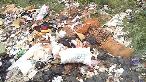Waste dumped by nearby commercial shops around Agaramthen Lake in Chennai