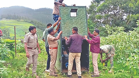 Forest officials placing a cage to capture a leopard in The Nilgiris on Friday.