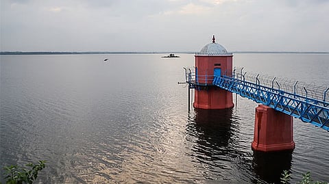 Representative image