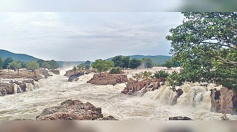 Representative image