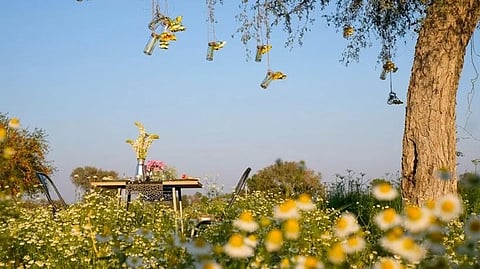 An abode of natural farming and mindful living