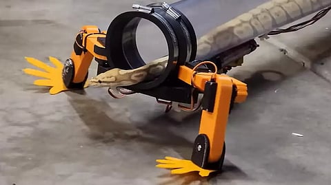 Snake with robotic legs
