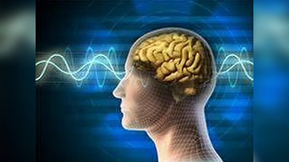 Study reveals how human brains learn patterns over time