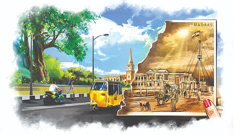 Illustration by Saai