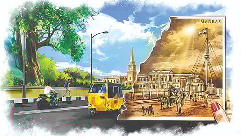 Illustration by Saai