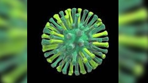 Representative image