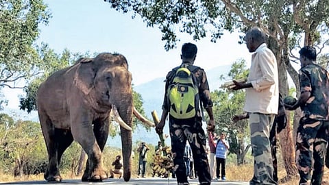 Representative image