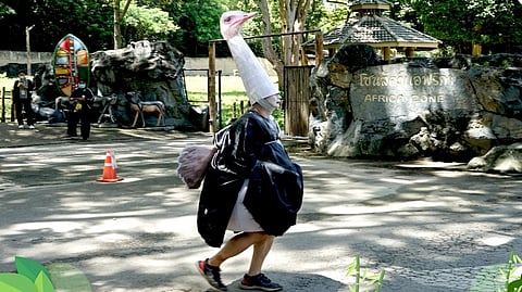 Man dressed up as ostrich