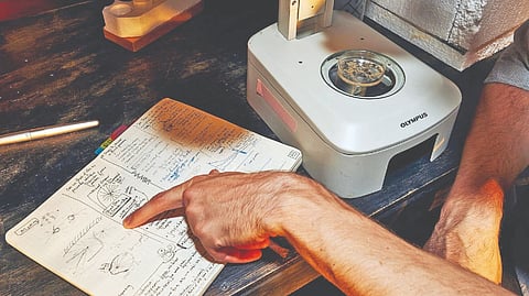 Evolutionary process: The mysterious dance of the cricket embryos