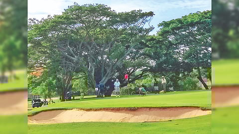 Players on the putting green of hole 11 at the TNGF Open.